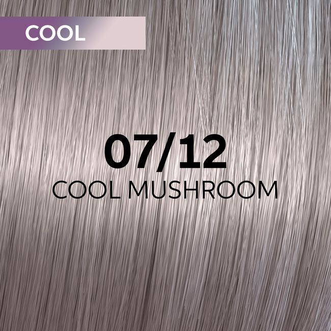 Wella SHINEFINITY Zero Lift Glaze Demi-Permanent Color 60ml - Picture 148 of 322